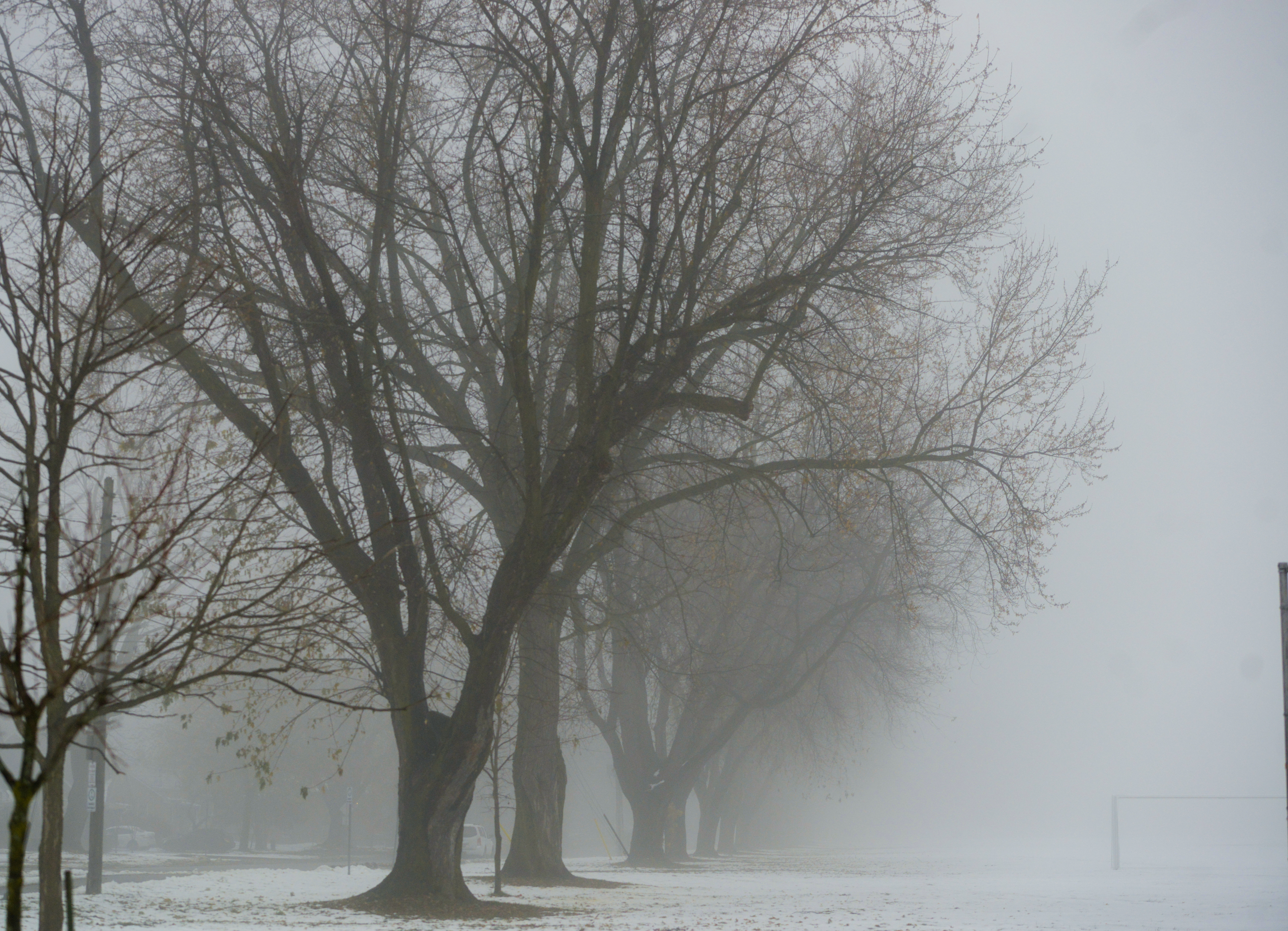 Winter weather travel advisory in effect: Environment Canada - Collingwood  News