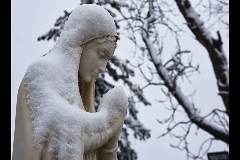 Guelph gets hit with some spring snow (14 photos): Photo Gallery ...