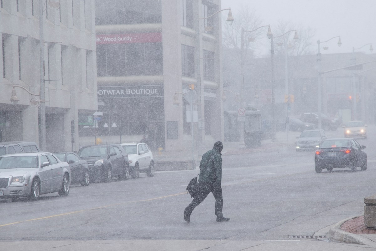 Gusting winds affecting Guelph and area (5 photos) Guelph News