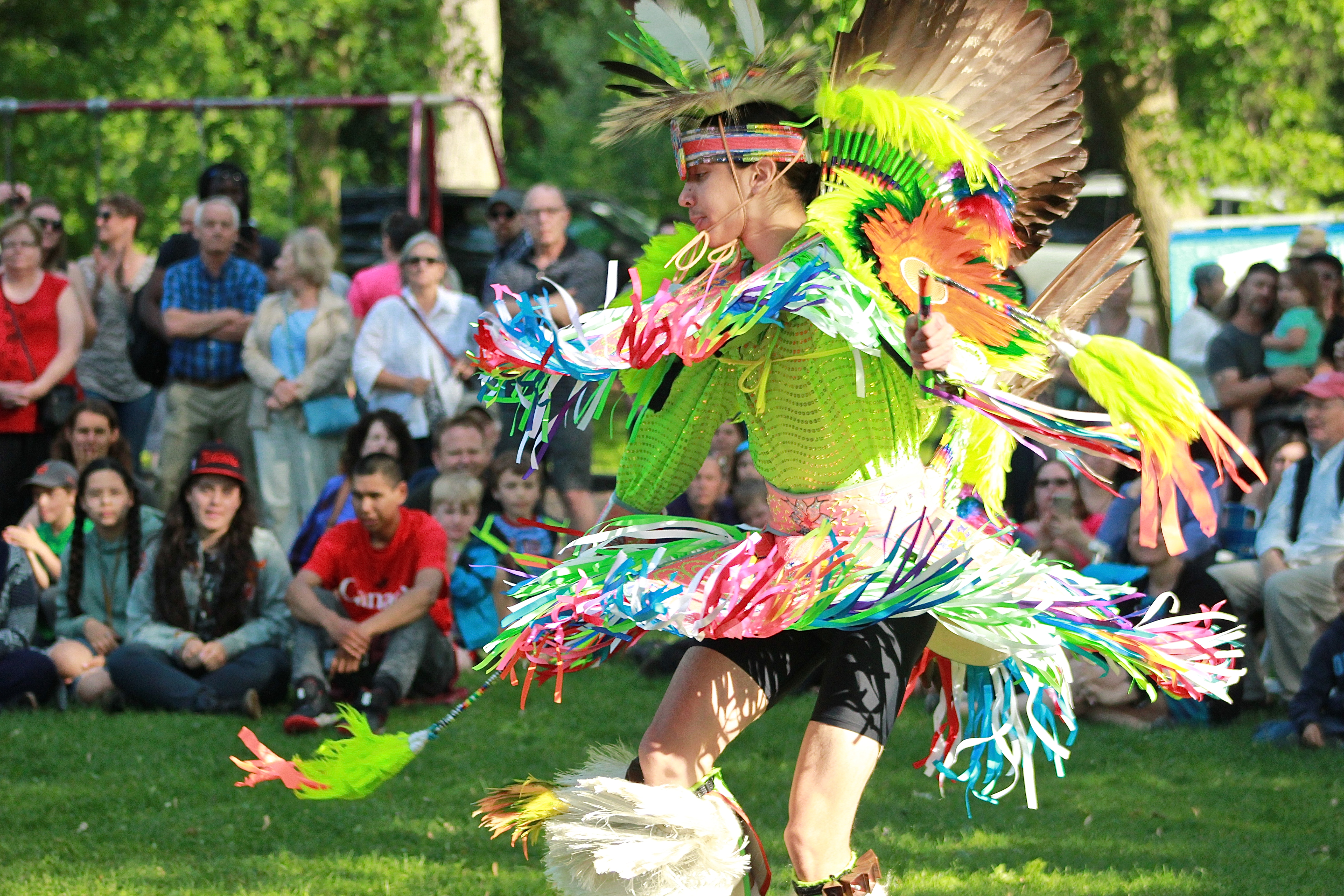 Decade of discussions results in new U of G degree steeped in Indigenous  practices - Guelph News