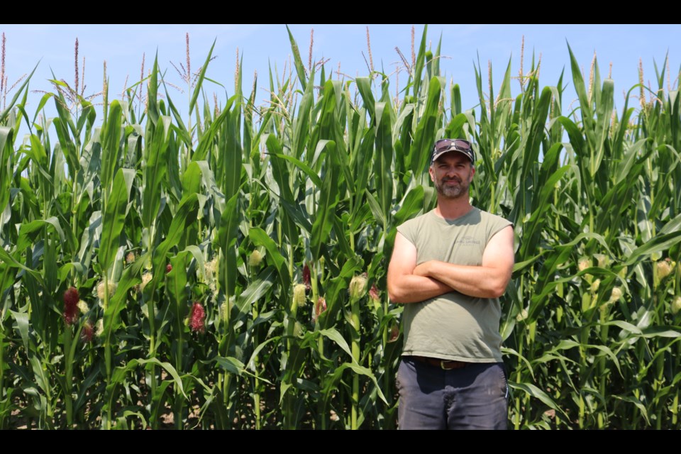 Peter Wright, the owner and operator of Living Springs Farm in Fergus grows winter wheat, corn, soybeans and hay. 