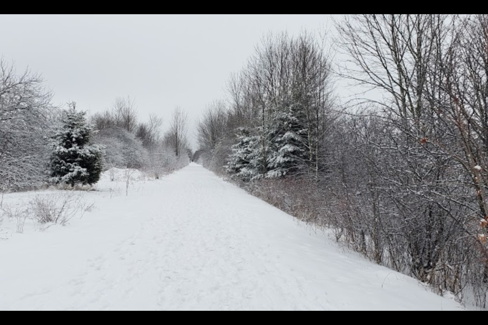 A section of the Elora Cataract Trailway. 