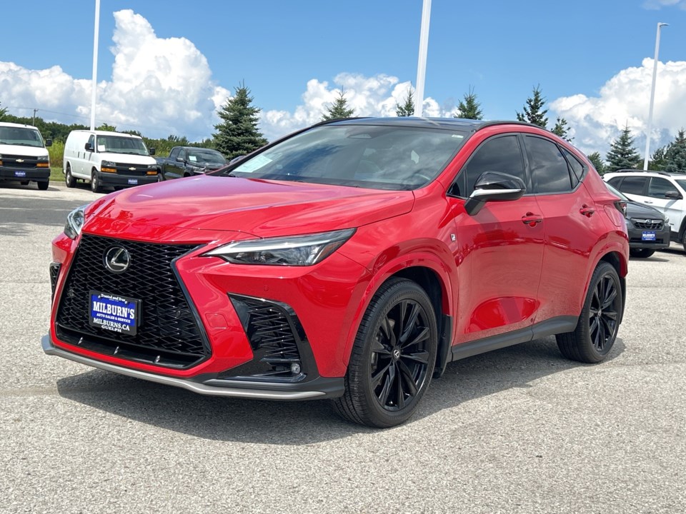 lexus-nx_350-2024-2