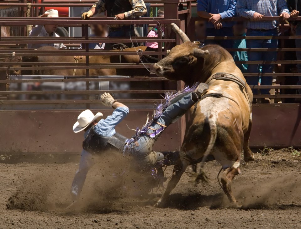 Bull Riders Canada touts safety ahead of controversial event in Halifax