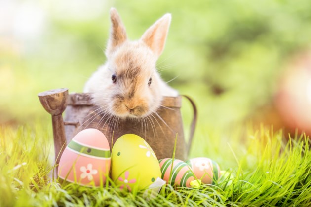 復活節由來-復活蛋-復活兔