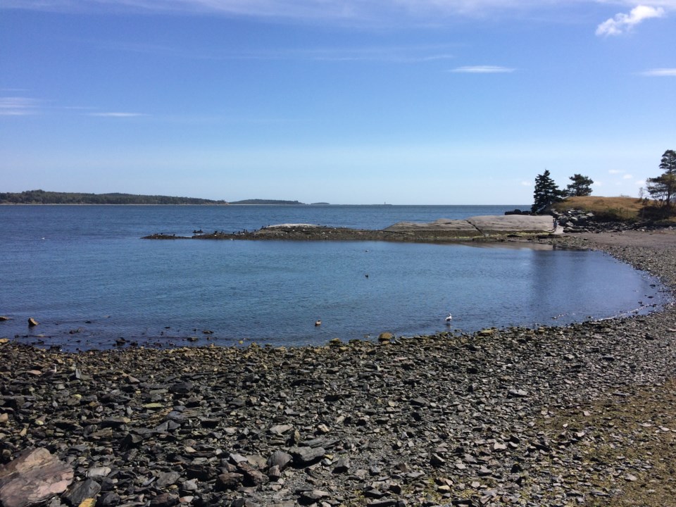 Volunteers to cleanup shores of Point Pleasant Park Saturday - CityNews