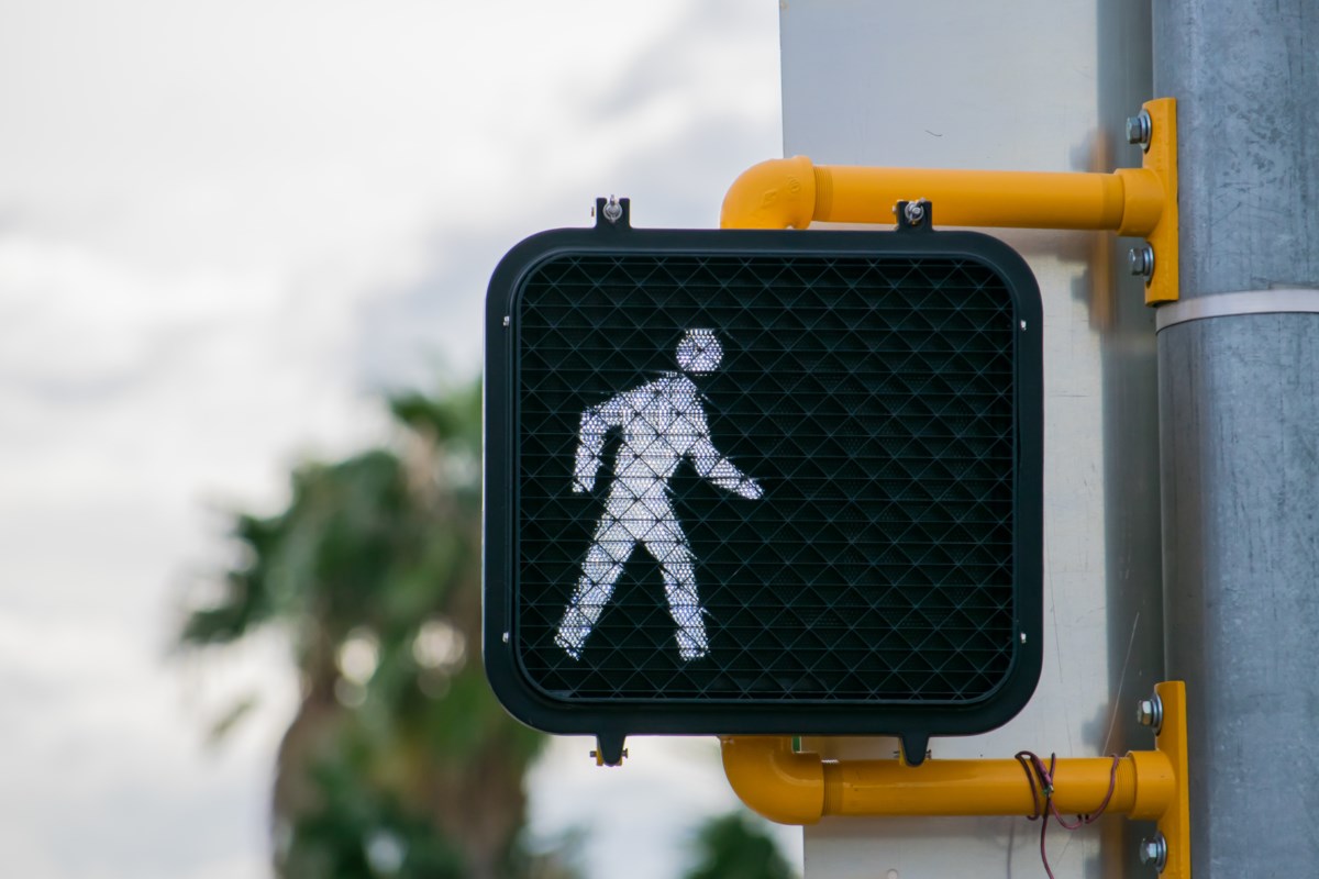 Pay Attention Seven Intersections Get Advanced Walk Signals Starting Monday Guelph News