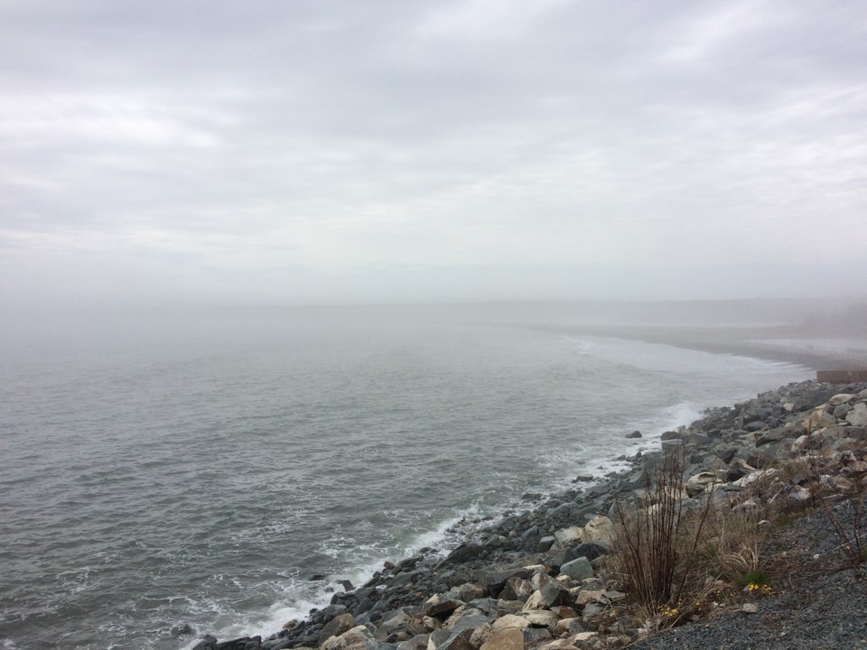 101317-fog-generic-weather-ocean-beach-01