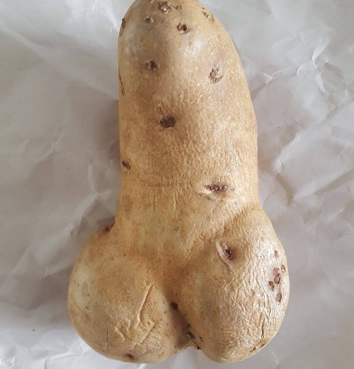 Phallic Potato On Its Way To Museum In Iceland Halifaxtodayca
