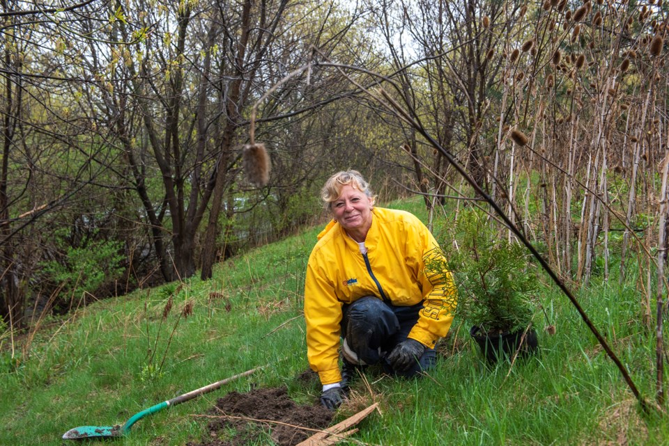 20240424earthdaytreeplantingwoman