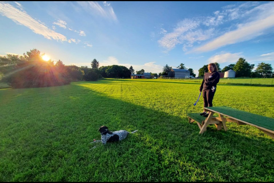 Country Canines Play Park offers a private, leash-free dog park.