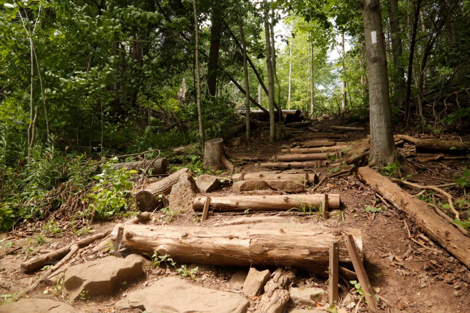 Logs mark the trail.