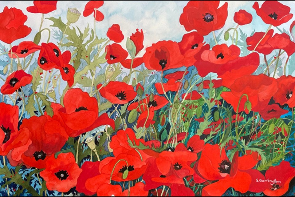 Susan Garrington, Poppies in Birr, watercolour