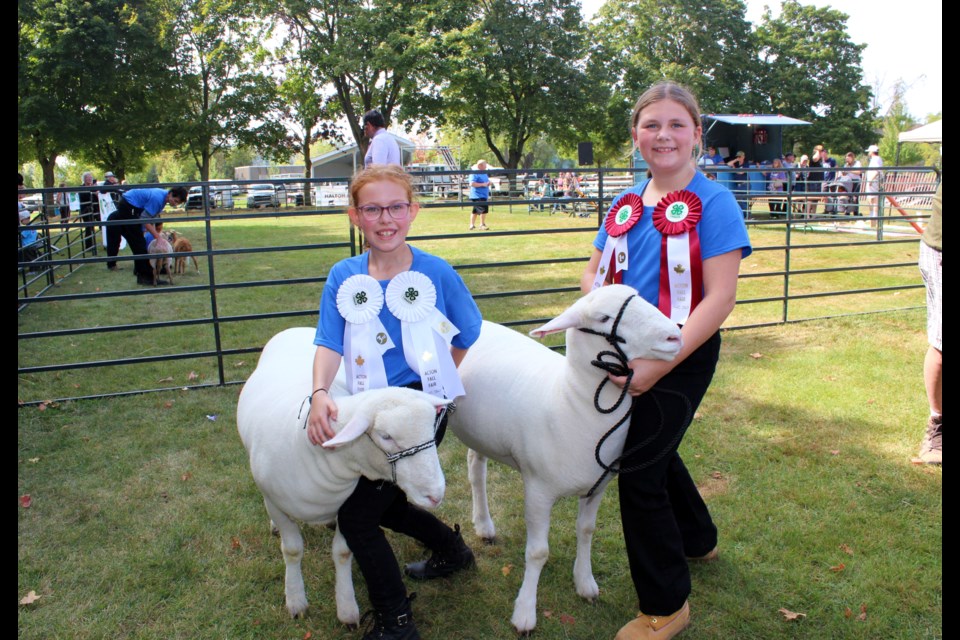 Grace Lindsay (left) and Leah Anthony and their award-winning animals at the Halton 4H Sheep Club competition.