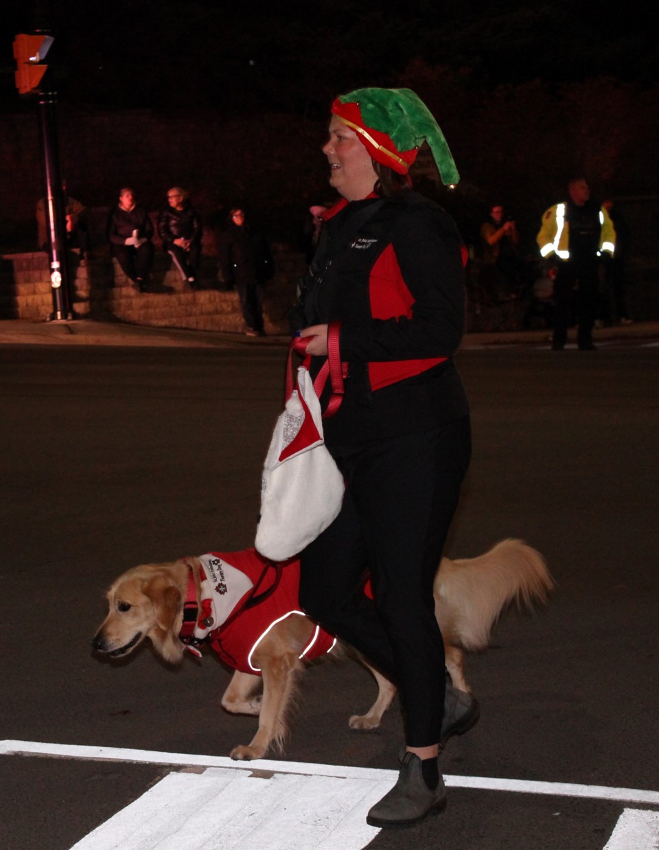 20241117georgetownsantaclausparadetherapydog