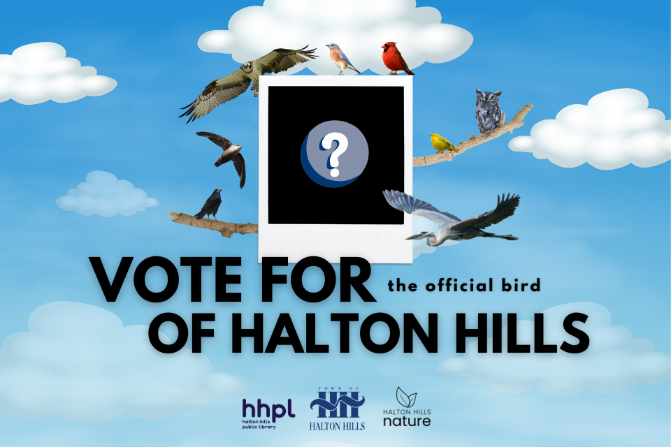 20250213-bird-halton-hills-vote