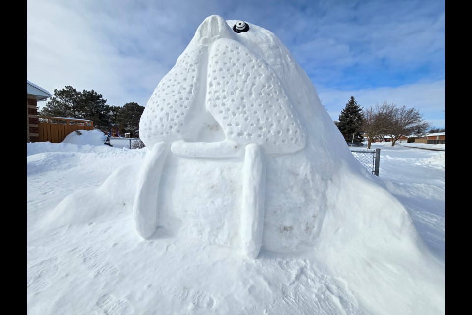 Wally the Walrus on Ashwood Avenue in Alcona.