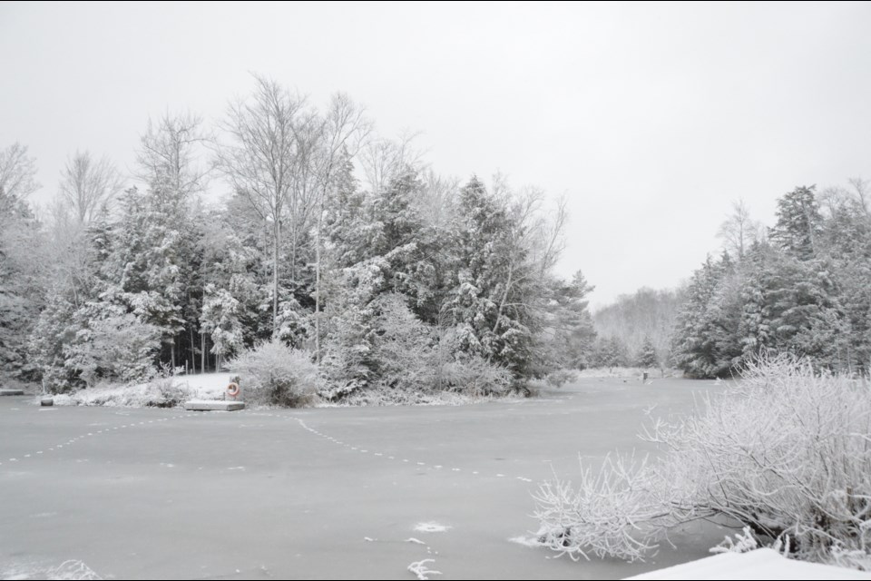 A winter wonderland at the Tiffin Conservation Area.