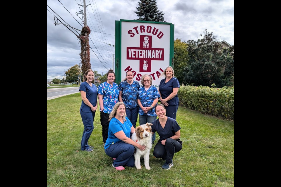 Top Row (left to right): Carollynn Krueger, Katherine Hawkes, owner Wendy Hatch, Judith Pottins, and hospital manager Monique Bakker.
Bottom row (left to right): Tabitha Troughton, Duke, and Joanna Bishop.