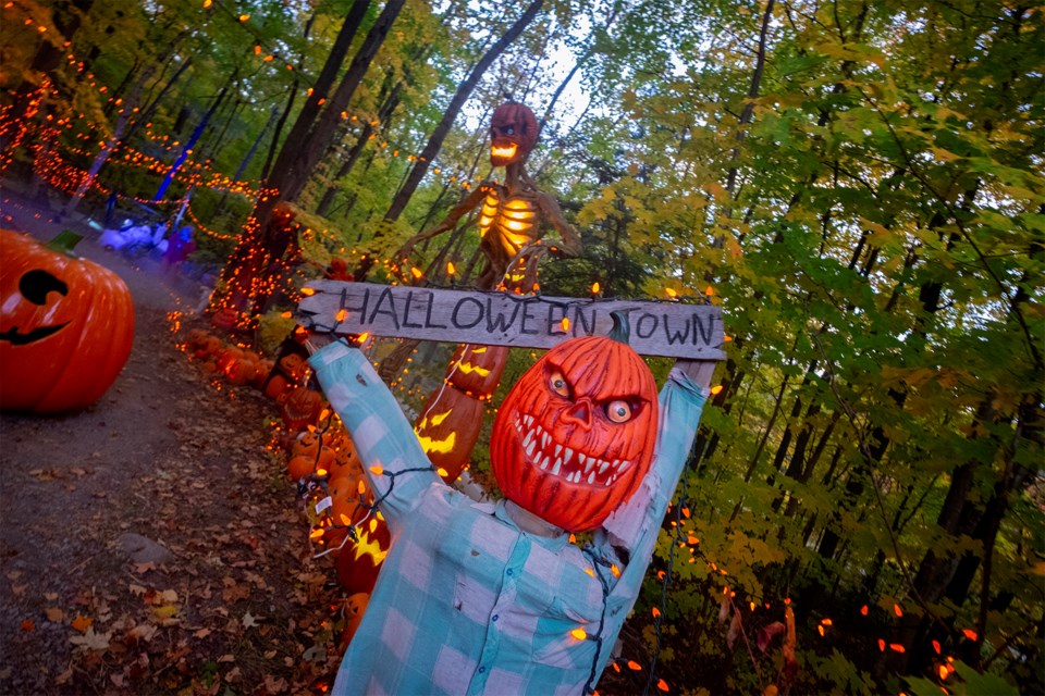 Thousands of lights adorn the walking path as guests make their way through the Hallowalk.