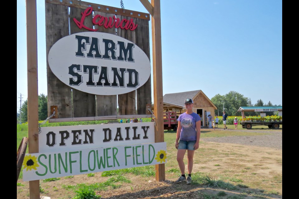 Laura Currie grows and sells vegetables, sunflowers and pumpkins on the 25-acre property that includes her new shed. Vegetables can't get any fresher than that. She also offers a free experience of a walk through a sunflower field. Rosaleen Egan for BradfordToday