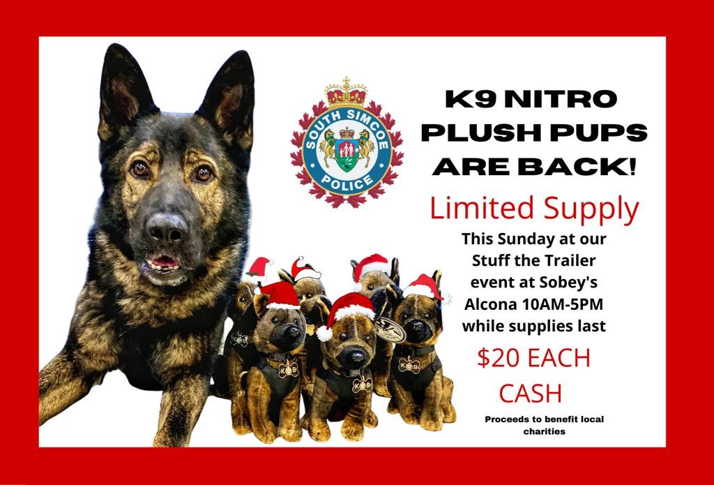 K9 Nitro plush pups are back, just in time for Christmas - Bradford News