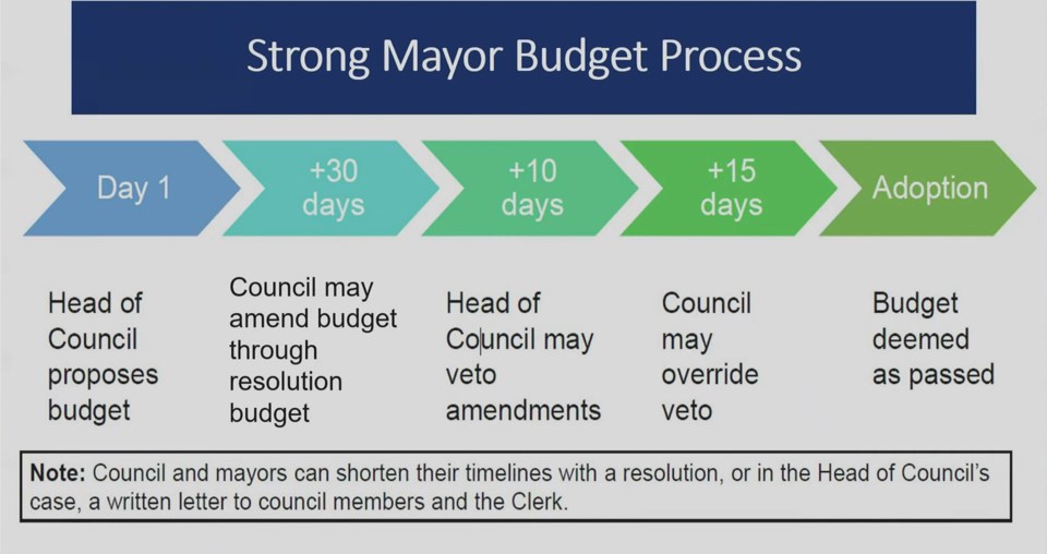 strong-mayor-budget