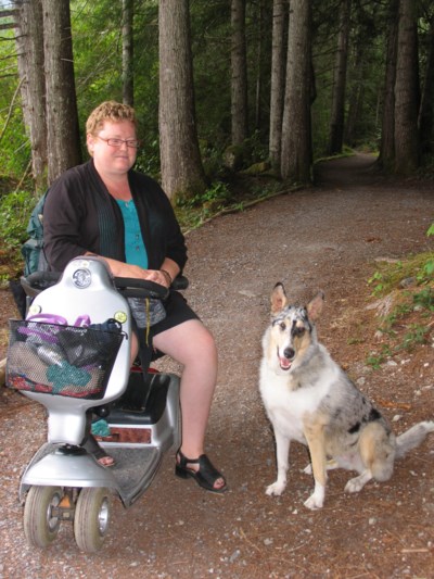elderdog
