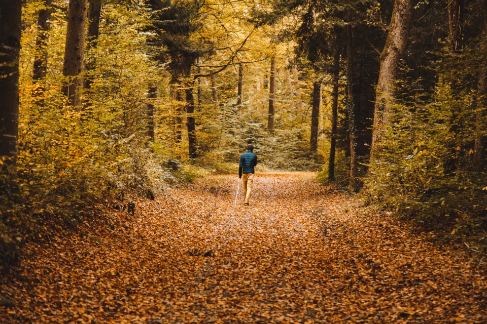 fall trails