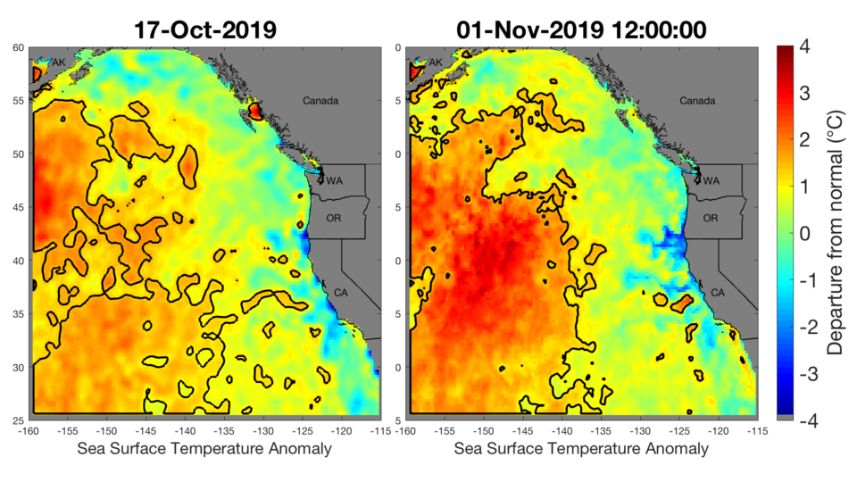 regular_ssta_prov_current