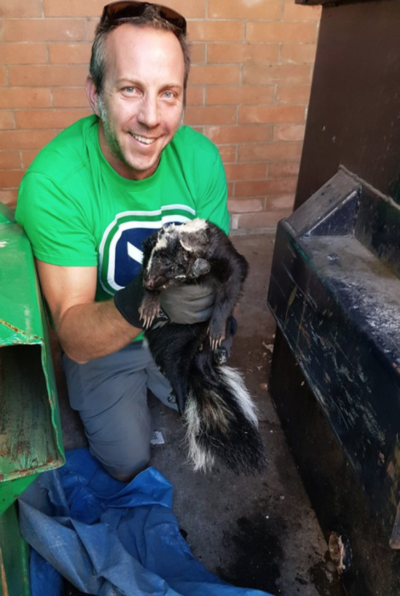 skunks2