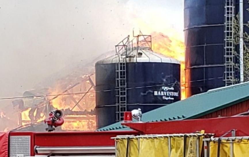 Multiple Cows Killed In Dairy Barn Fire Opp Kitchenertoday Com