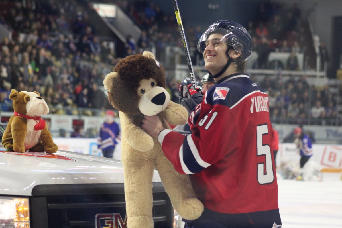 teddy bear toss 2018