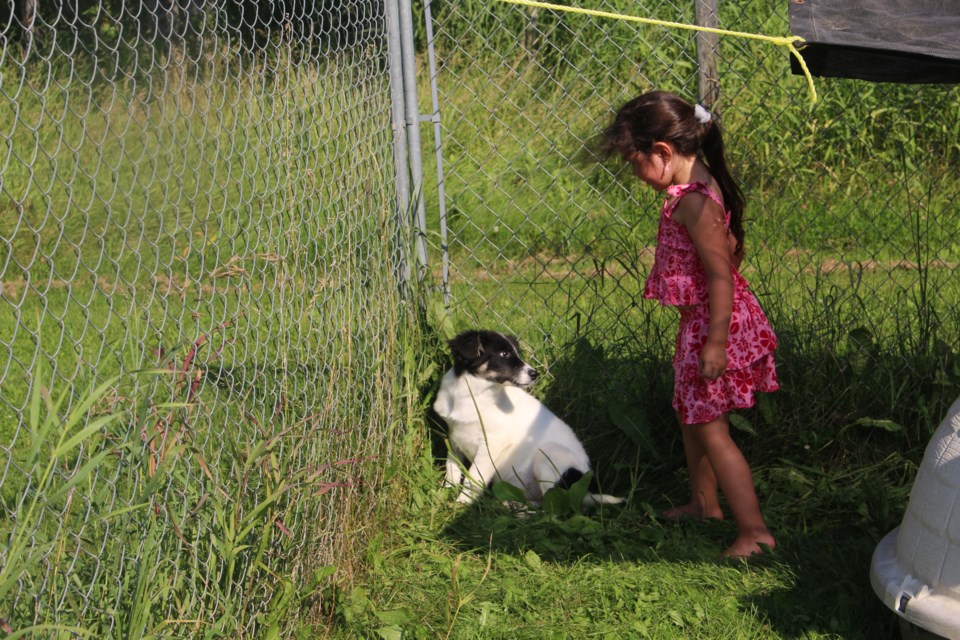 The Lakeland Humane Society allowed visitors one on one time with puppies at its Bark in the Park event.