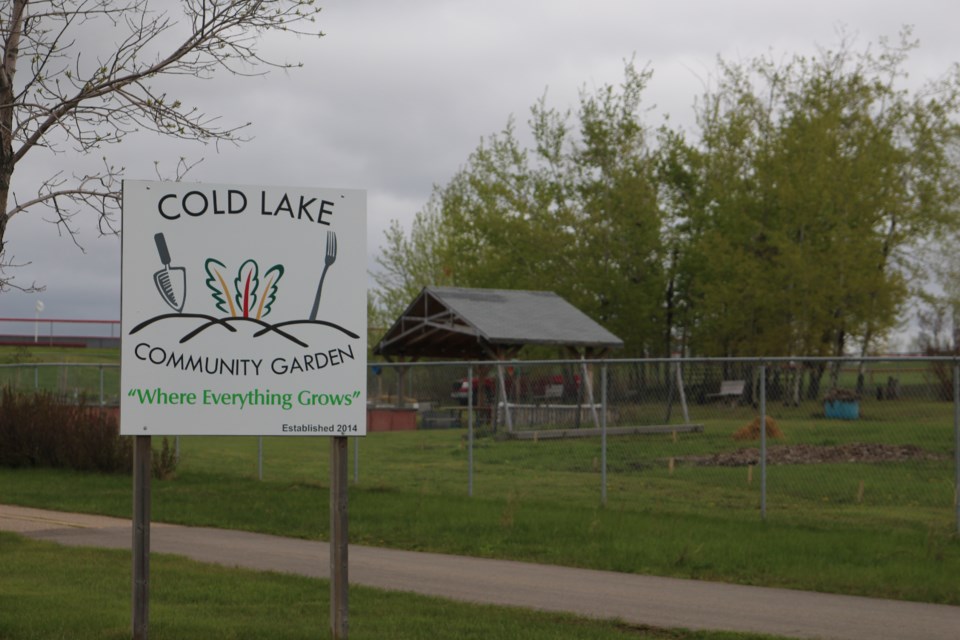 The Cold Lake community garden is located between the Energy Centre and the Lakeland Lutheran Church. 
