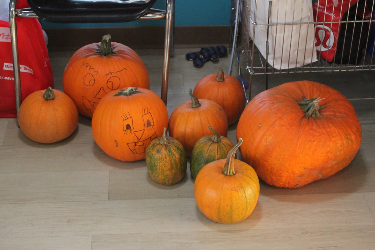 Lac La Biche Humane Society’s Pumpkin Donation Initiative Benefits Shelter Animals