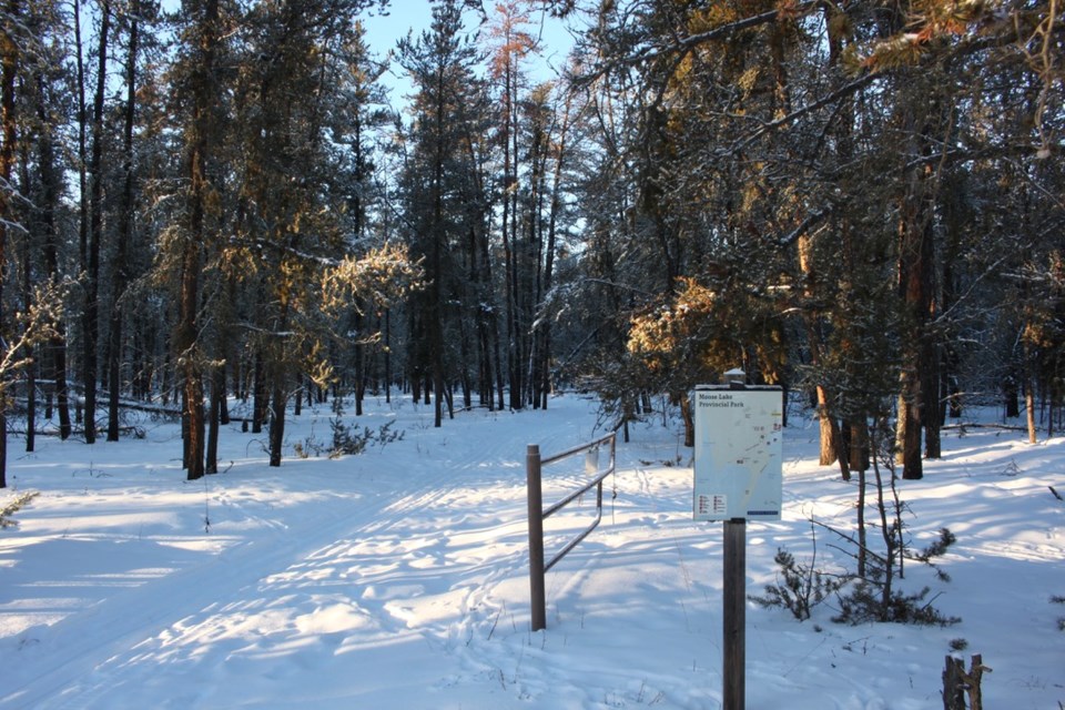 Moose Lake Provincial Park has groomed cross country skiing trails for the community to enjoy.