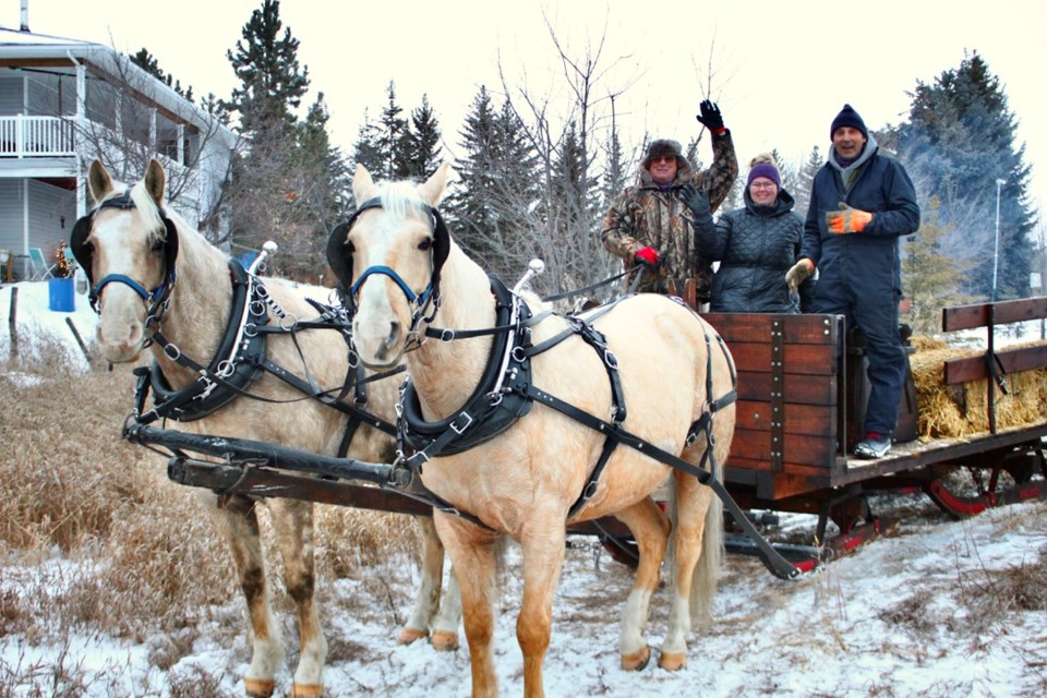 Palomino brothers Skeeter and Fly pulled an open sleigh during Rocky Meadows Country Christmas Market. From the left: Teamster Warren Garnier, Ange Derbawka, and Dan Bremult.