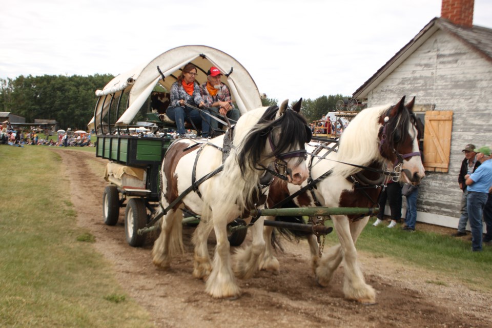 A pair of Gypsy Vanner horses brought the good hair in the opening parade.
Corrina Dickens photos