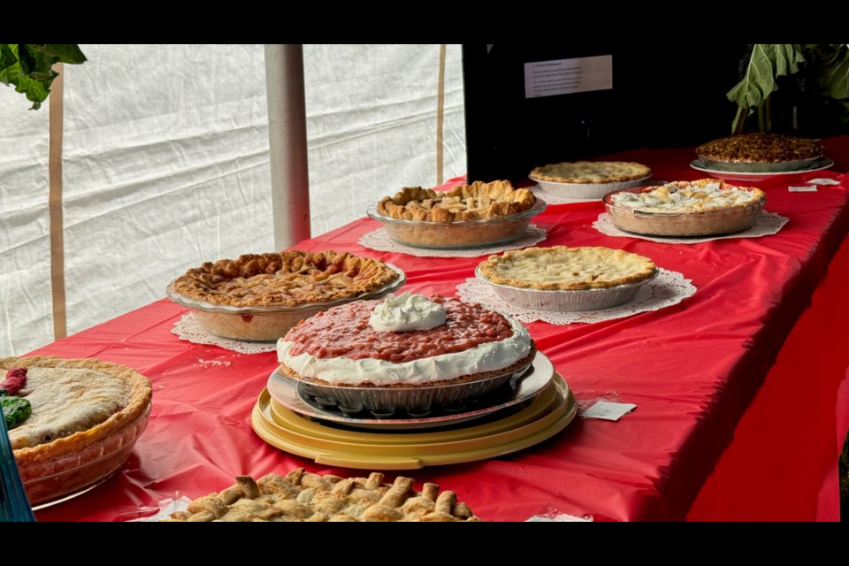 Some tasty pies at rhubarb fest.