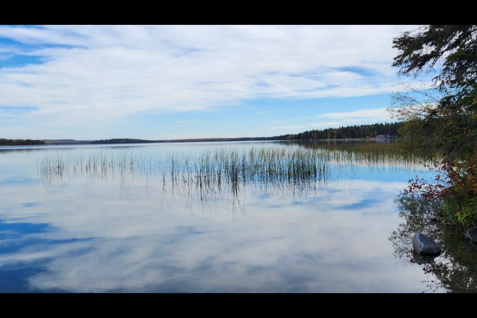 Crane Lake reed beds provide a habitat for the lake's biodiversity.