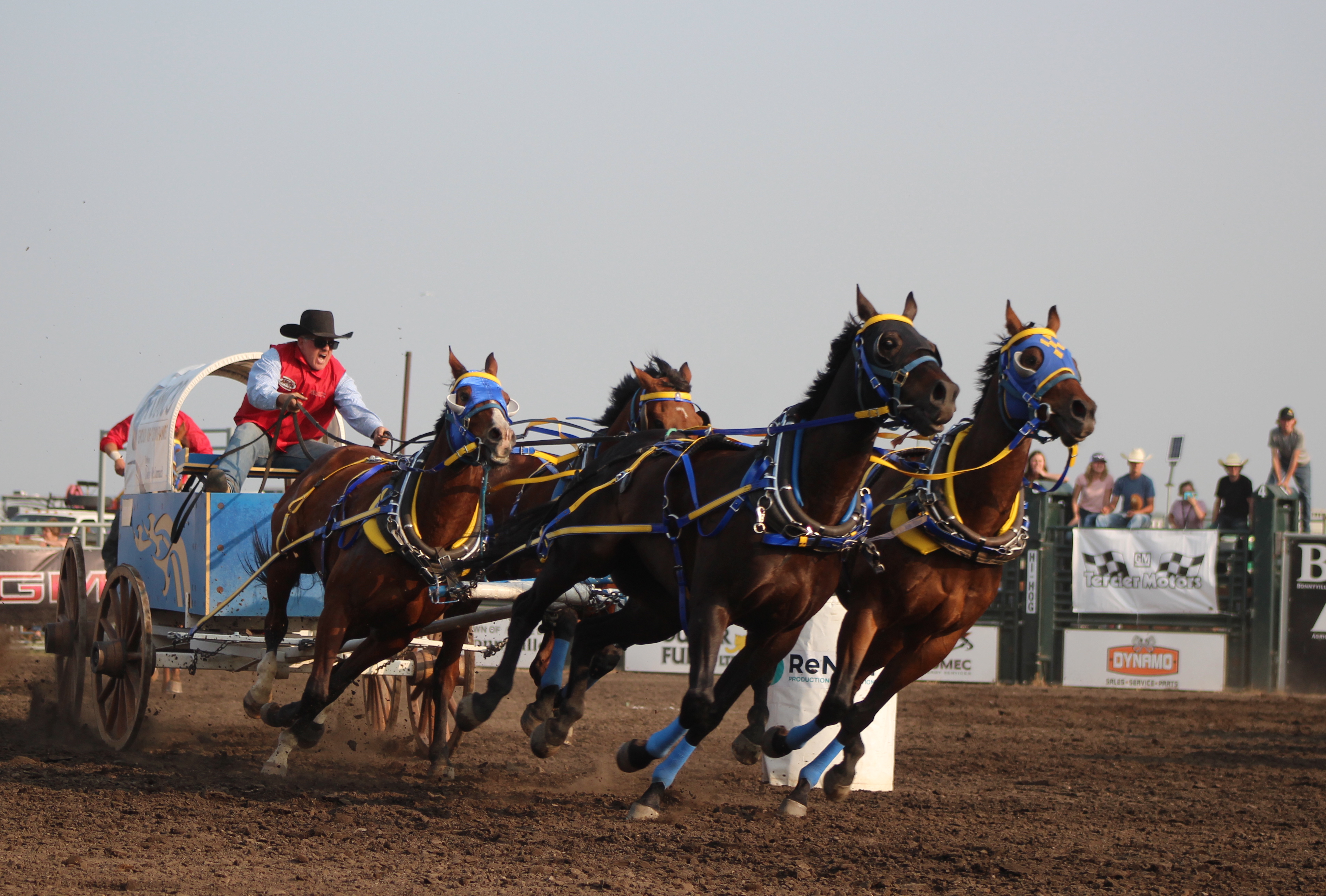 GALLERY Ropin buckin and runnin all part of Bonnyville s