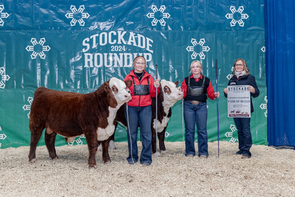 The 2024 Lloydminster Stockade Roundup Champion Pair of Bulls, K-Cow Mindbender 110M and K-Cow Manhattan 106M were shown by Kailey and Lexi Wirsta, with proud mom Janice Wirsta displaying their banner. / Submitted photo