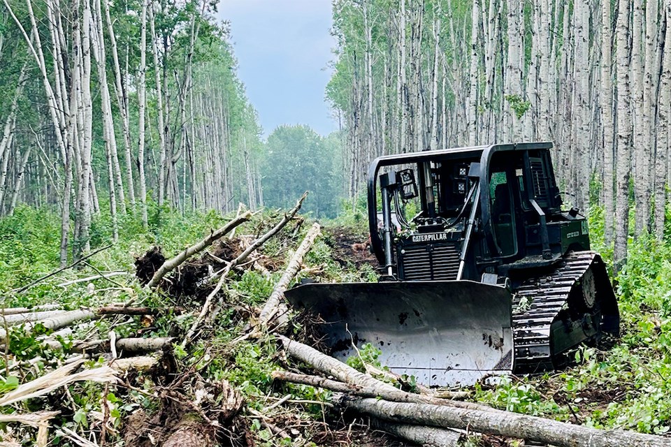 brushing_biollo-farms