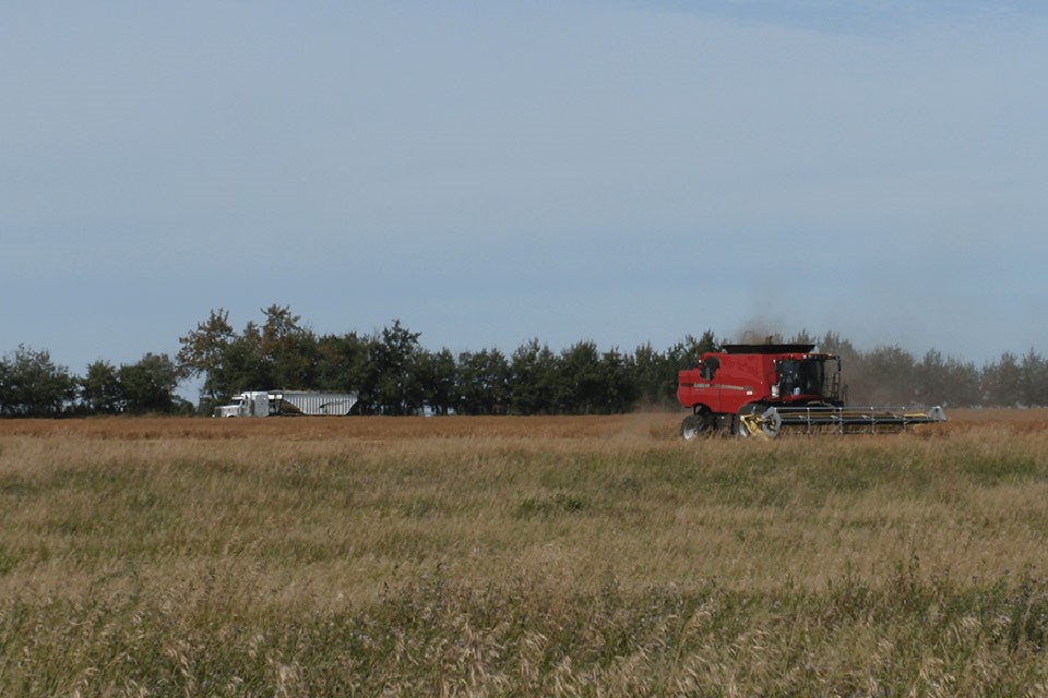 lakeland-agricultural-reaserch-association-crops-pest-management-small