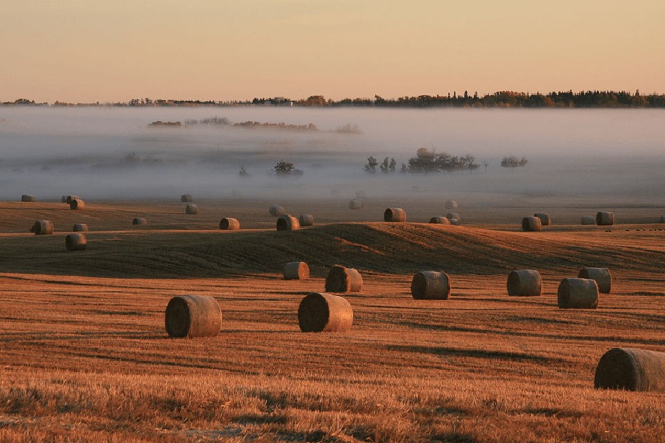 lakeland-agricultural-reaserch-association-environmental-stewardship-small-1