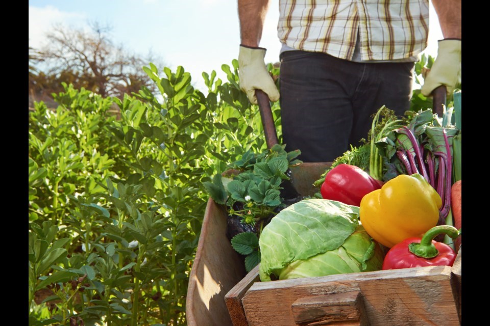 farming-1-shutterstock