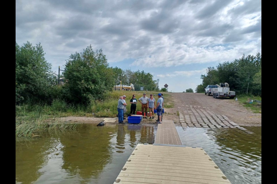 Volunteers from across central and northeastern Alberta work to transfer thousands of yellow perch to Frenchman Lake on Aug. 15.