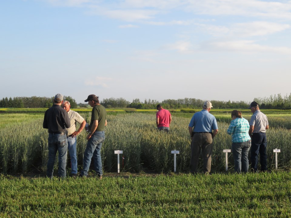 LARA open field farm tour 