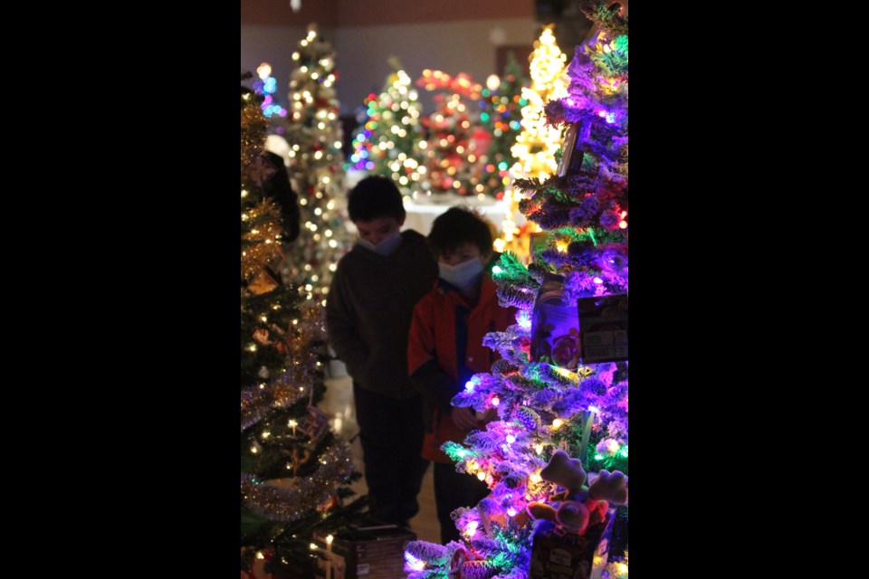 Tree, By Festival of Trees Lac La Biche